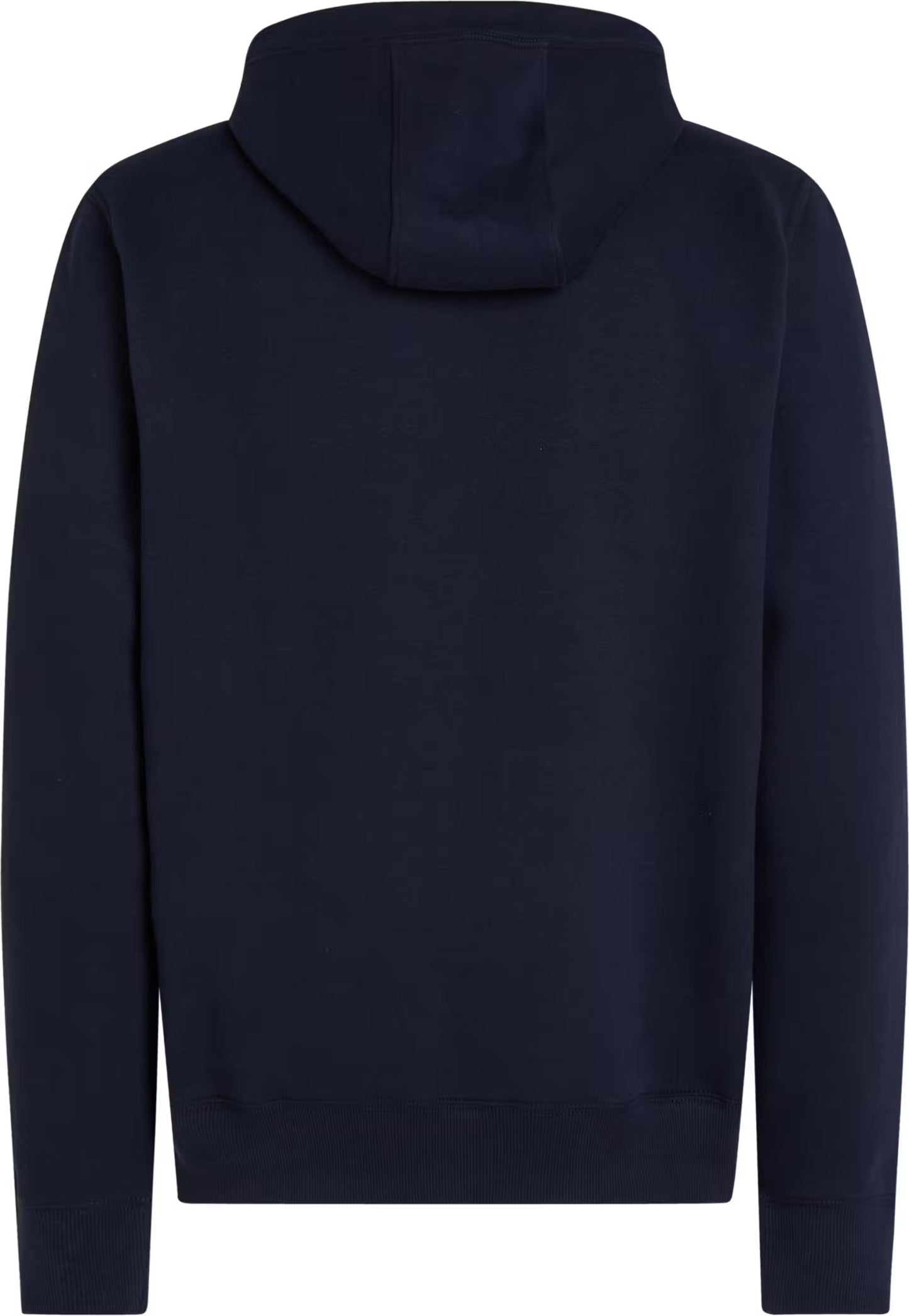 Tommy Hilfiger Rwb Hilfiger Hoodie Dw5 - Desert Sky